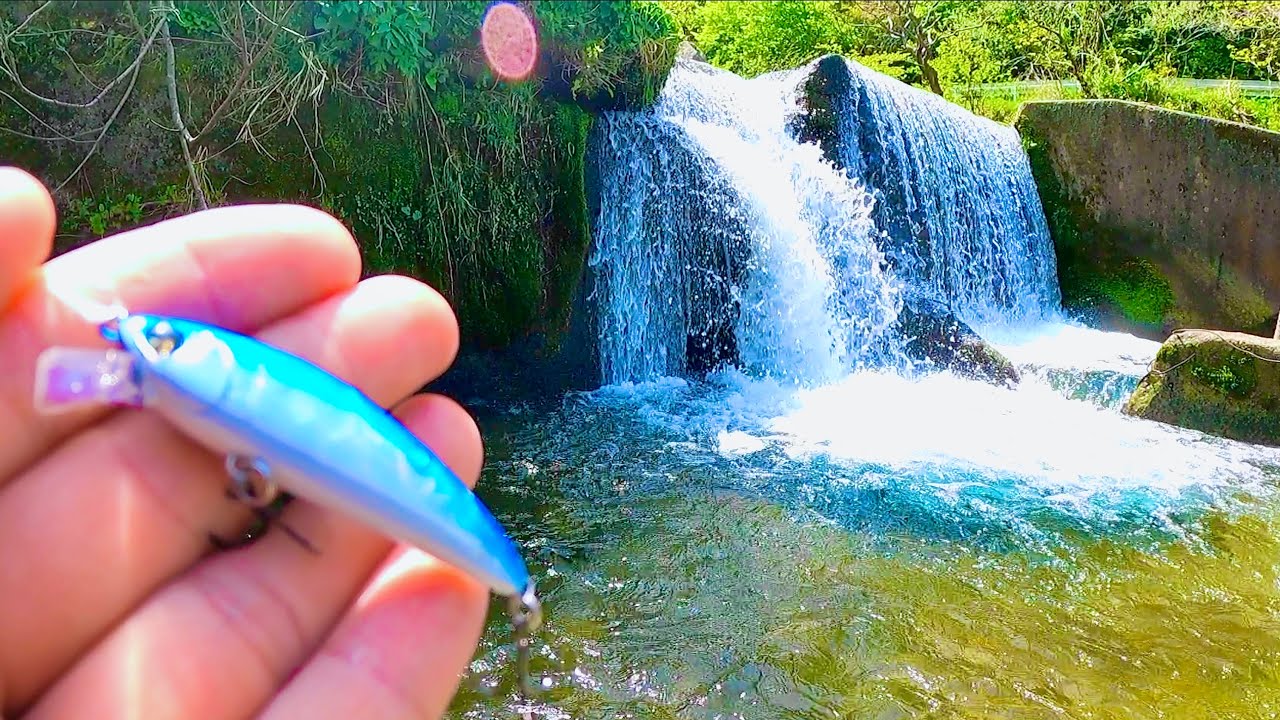 Japanese mountain stream fishing - YouTube