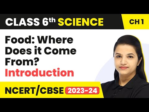 Class 6 Science