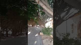 España y sus rincones