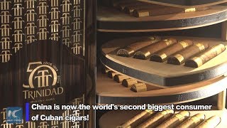 Smoke Em If You Got Em China Becomes Second Biggest Consumer Of Cuban Cigars