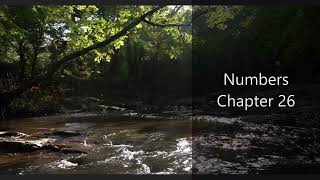 The Book of Numbers Chapter 26 - New King James Version (NKJV) - Audio Bible