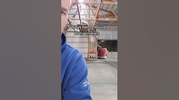 A Concise List Of All The Ways Farmers Abuse Cows 