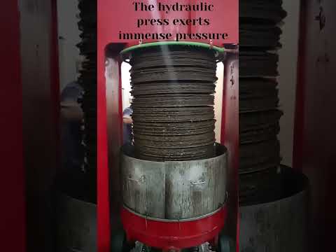 معصرة الزيتون التقليدية زراعة    