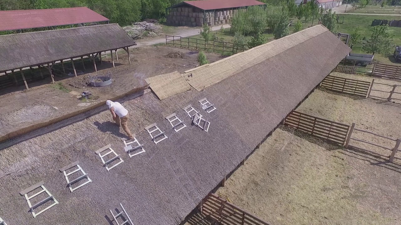 Nádtető karbantartás