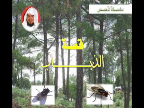 قصة لمخلوق يقهر الجبابرة الذباب 