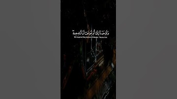 وَأَوْحَيْنَا إِلَىٰ أُمِّ مُوسَىٰ أَنْ أَرْضِعِيهِ♥️🌧#قرآن#تلاوة_خاشعة#حالات#سورة_القصص#الله