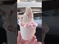 帯広ジェラート【チェルシークリーム】でジェラートTIME💕