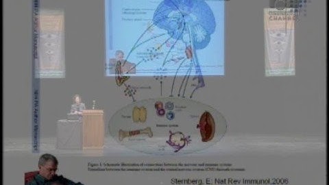 Foiling Fatigue: Can We Do It?