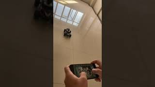 IMG 0039