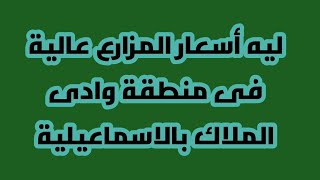 معلومات كاملة عن منطقة وادى الملاك بالإسماعيلية .. الموقع والأسعار وطرق الرى