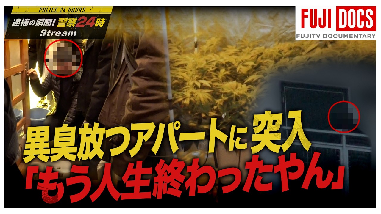 【警察24時】「もう人生終わったやん」崩れ落ちる男…異臭を放つアパートに捜査員30人が突入！住宅街に潜む一室に隠された“密室栽培”の全貌は？（2018年4月放送オリジナルカット版）