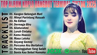 FULL ALBUM LAGU DANGDUT KOPLO TERBARU 2025 | TIKTOK | ENAK DIDENGAR | NGEHITS SAAT INI