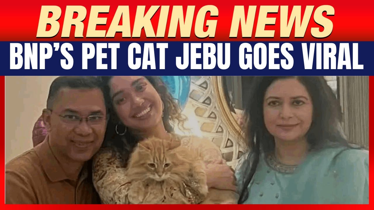 LIVE; BNP Chief Tarique Rahman Returns to Bangladesh After 17 Years, Massive Crowds Gather