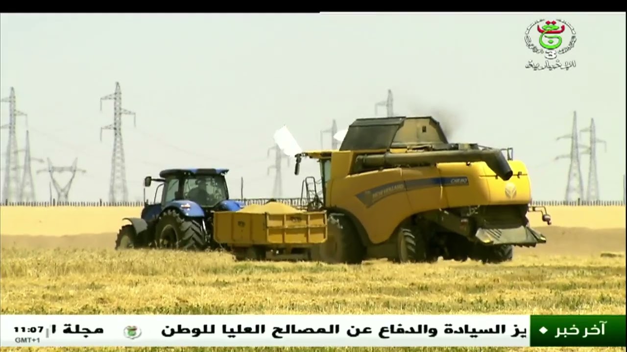 فلاحة - الزراعات الإستراتيجية | تطوير المحيطات الفلاحية بالجنوب .. تجربة واعدة لشركة سوناطراك