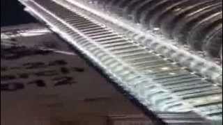 Freedom - At Petronis Towers