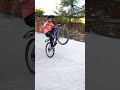 ulta haldle wheelie