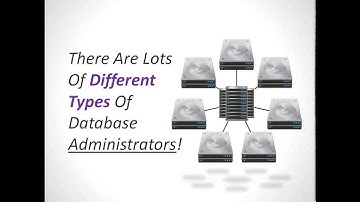 Meet Susan SQL Designer & New SQL DBA Coach-in-a-Can™