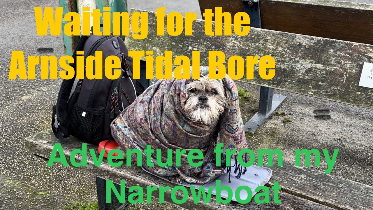 Приливная волна Арнсайда