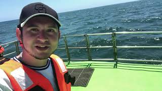 VIAJE EN BARCO A LA ISLA DE LA PIEDRA   ⛵   MEXICO