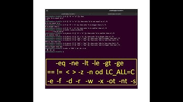 Comparison Operators in Linux for Numbers, Strings, and Files