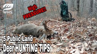 5 Ways to Deer Hunt Pressured Public Land