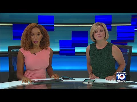 Local 10 News