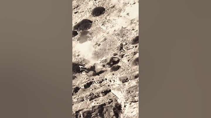 💥雪豹岩羊在山崖拉开追逐战 Snow leopard chasing the wild goat on the cliff #animal 【跟着图尔去旅行】