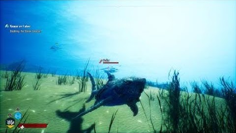 Game developers of Maneater please fix this bug