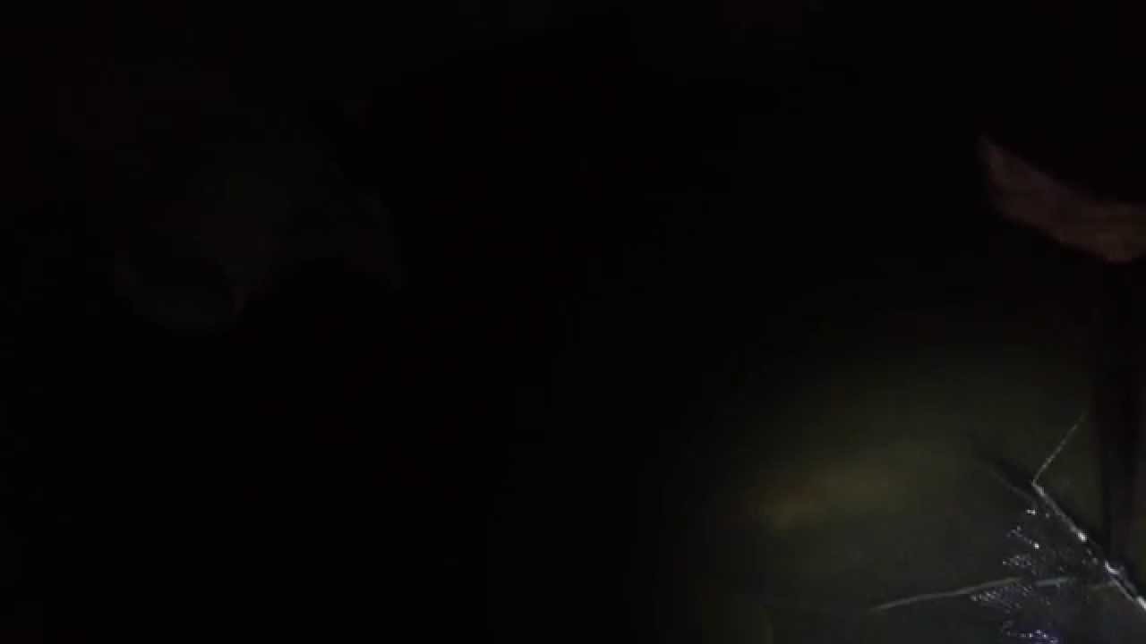 13lb 7oz Severn Barbel