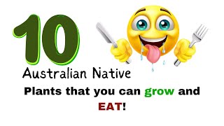 Bush Food Australia - Ten Bush Tucker Plants For Your Garden - Permaculture