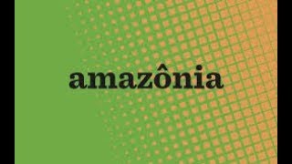 Queimadas na Amazônia