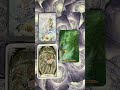 The Chariot #tarot #majorarcana #thechariot
