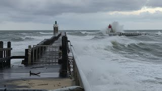 ALEX VIDÉOS CAPBRETON est en direct ! grosse houle 🌊