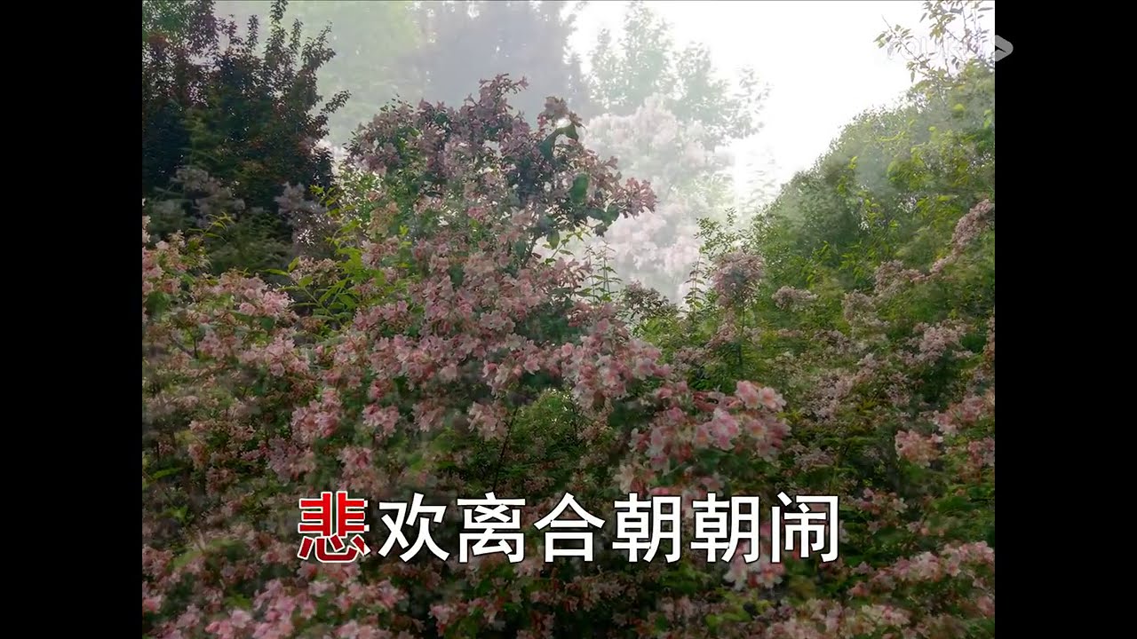 則旭法師《醒世歌》