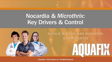 Nocardioforms and Microthrix: Key Drivers and Control