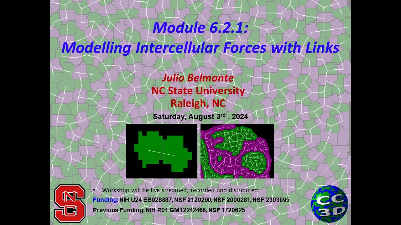 CC3D WS 6.2: Links and Solids in CC3D [Julio Belmonte] August 3, 2024