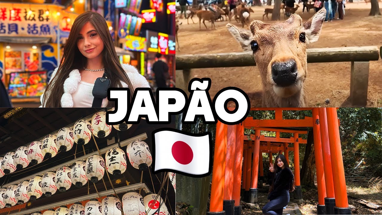 DIÁRIO NO JAPÃO: Preços nas lojas, Kyoto e Nara Park #03