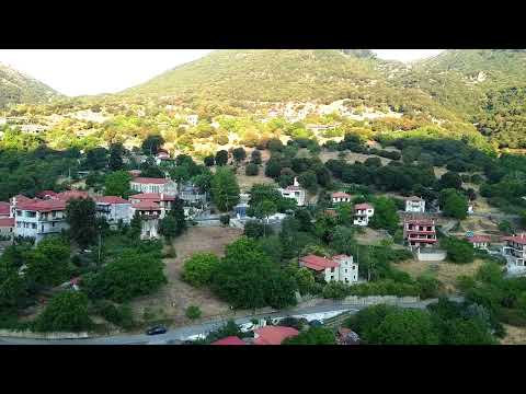divri 7/24