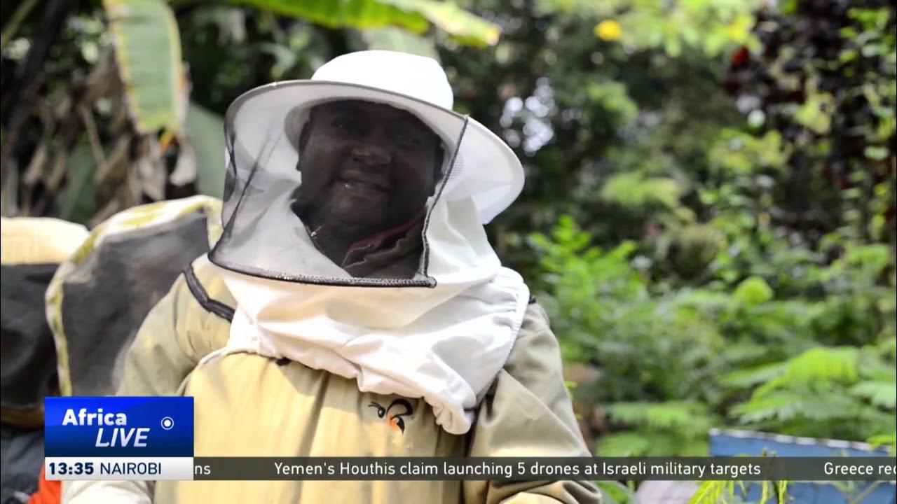 Beekeeping offers hope in conflict-hit eastern DR Congo