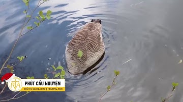 Phút Cầu Nguyện, Thứ Tư 08/01/2020: Một Khởi Đầu Tốt Đẹp