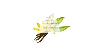 Supreme Amber Fragrance Eng