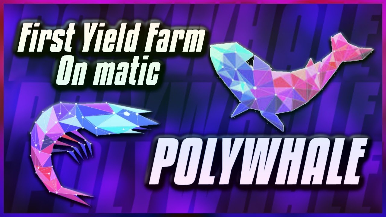 Polywhale- The FIRST Yield Farm on Polygon(High %  Apr, Audited)Review 2021