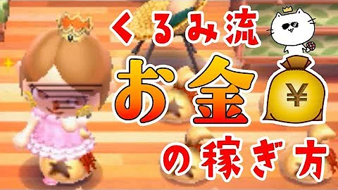 どう森お金稼ぎバク