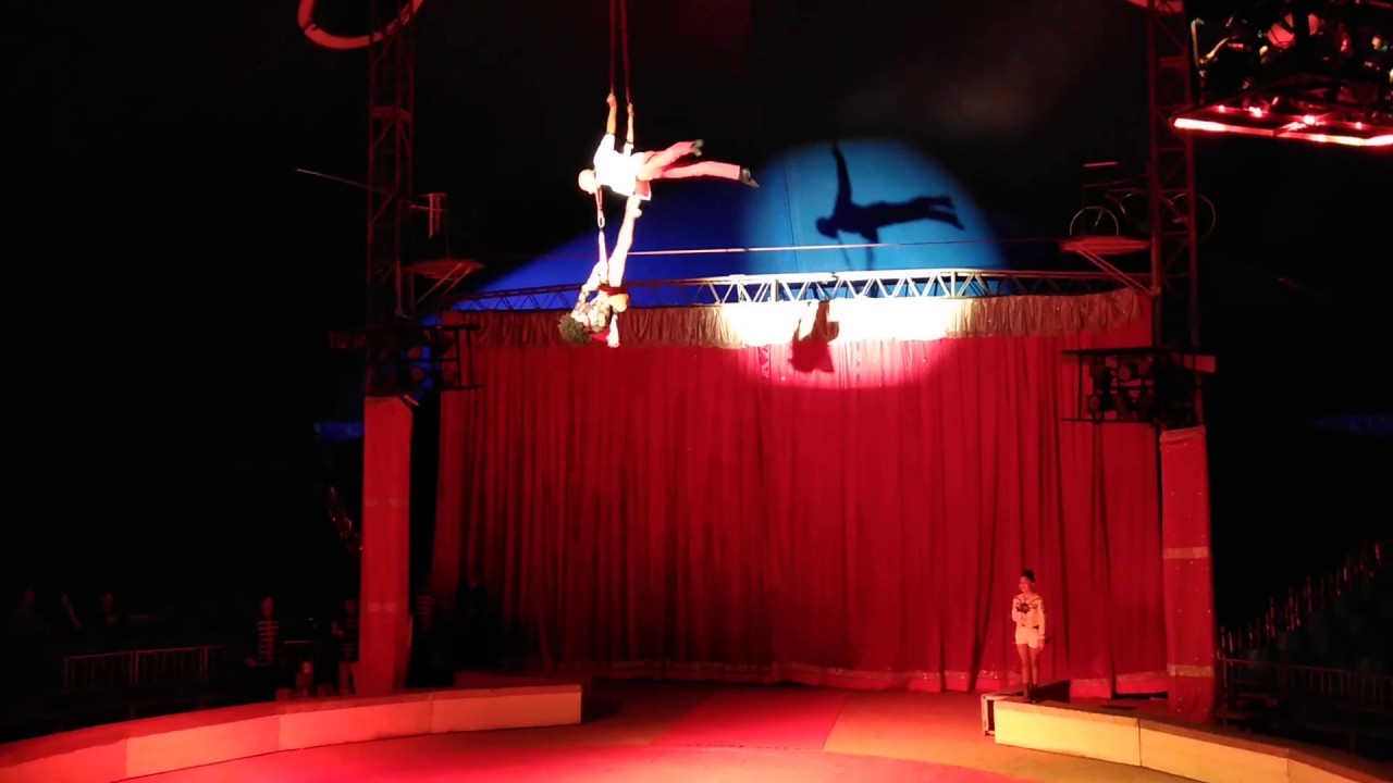 AMOR DUO - Aerial Straps - CIRCA CIRCO