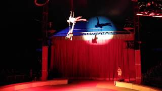 AMOR DUO - Aerial Straps - CIRCA CIRCO