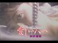 (カラオケ)愛しい人へ / 浜田省吾