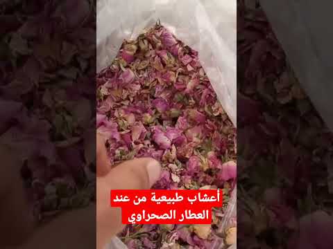 أنواع الأعشاب الطبيعية مع العطار الصحراوي