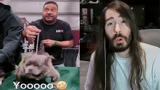 Penguinz0 'Weirdest Contests on Earth'' Compilation
