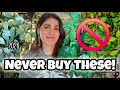 HOYA NO BUY LIST + ALTERNATIVES 🚫 Don't Buy These Plants!! 