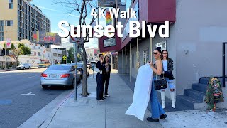 LOS ANGELES Sunset Blvd walk  West Hollywood CA 4K 2024